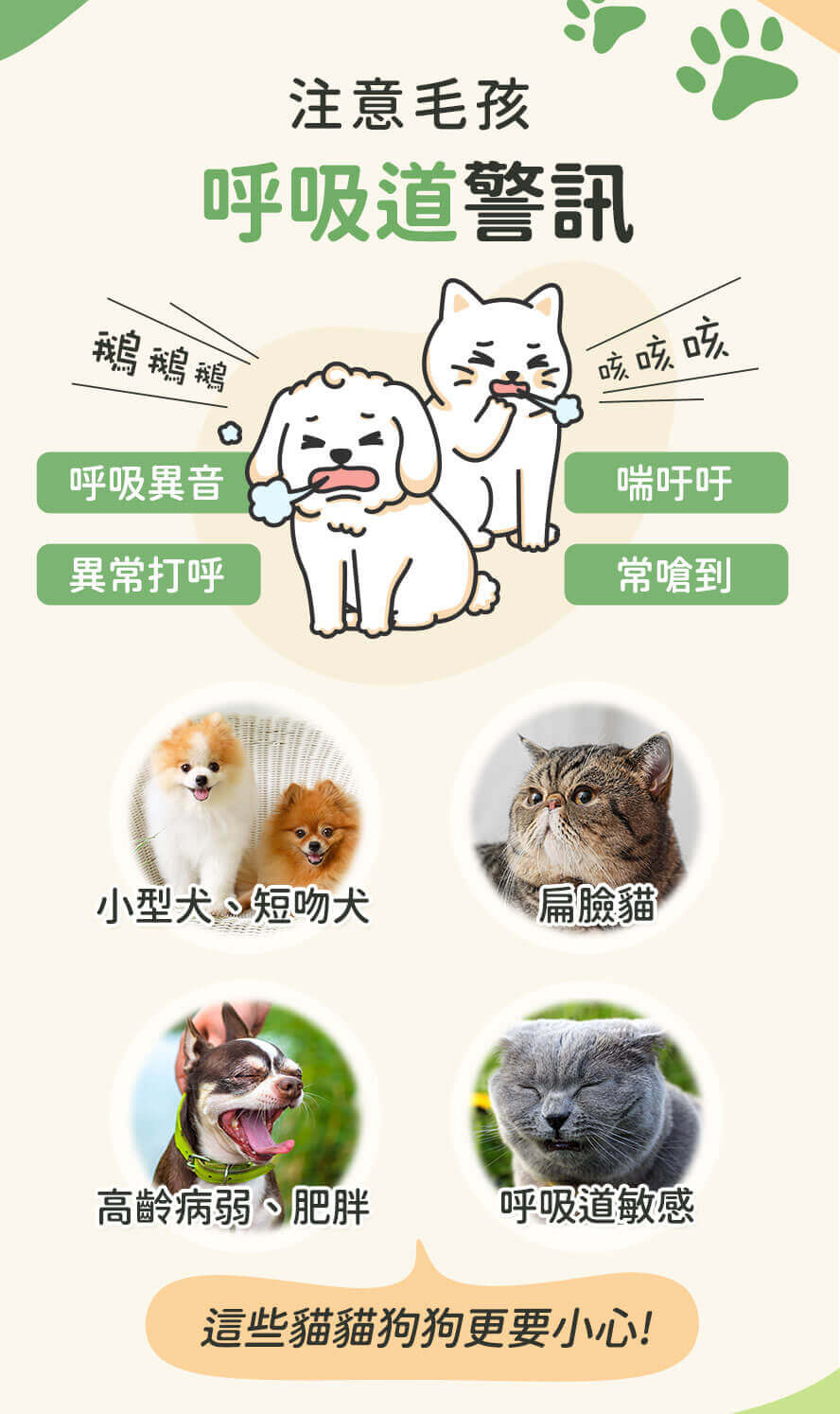 寵物呼吸4大情況要注意，咳嗽、氣喘、呼吸急促、異常聲響。